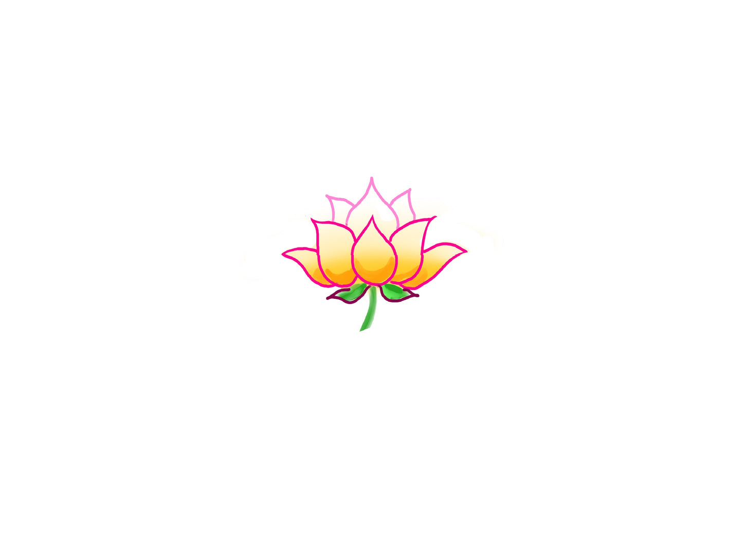 Colorful lotus flower on a white background